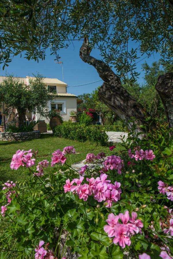 Corfu Villa Linea Línia Kültér fotó