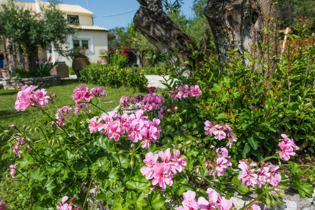 Corfu Villa Linea Línia Kültér fotó