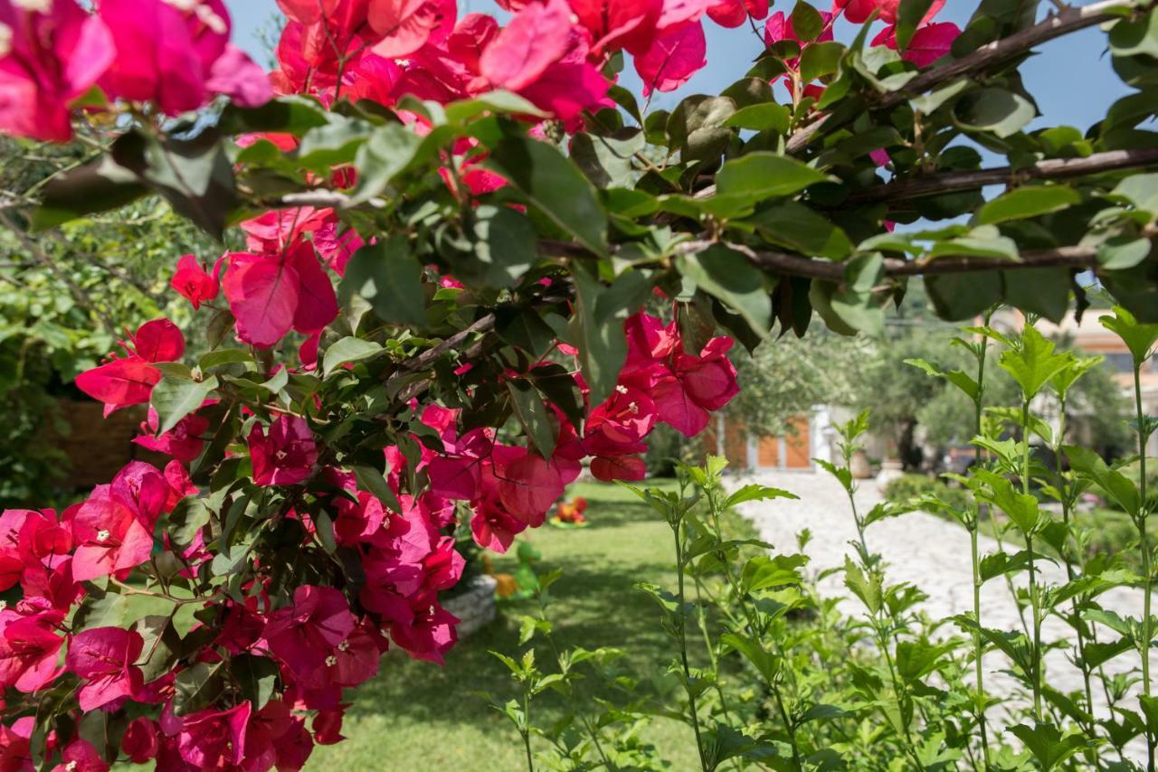 Corfu Villa Linea Línia Kültér fotó